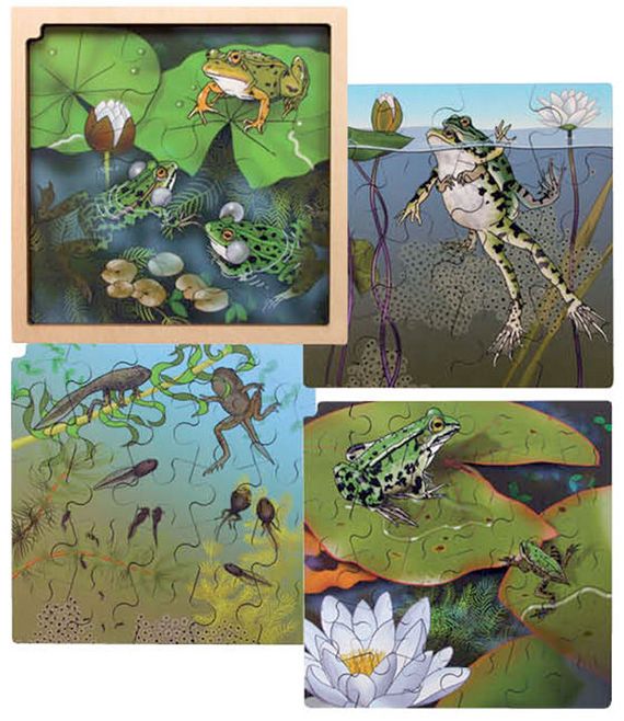 Circle of Life-Puzzle Frosch
