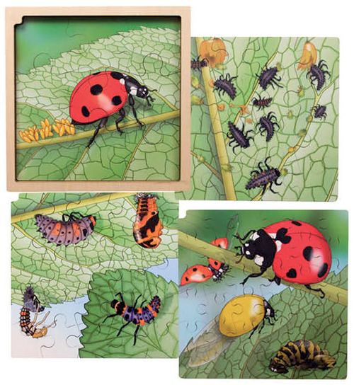 Circle of Life-Puzzle Marienkäfer