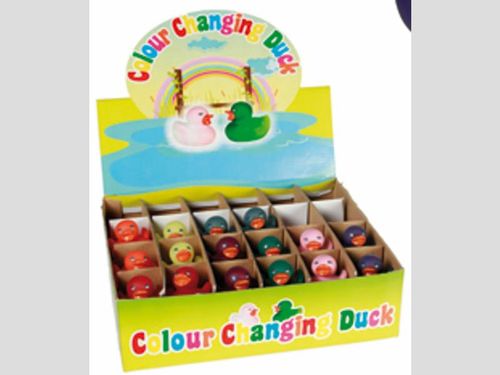 Farbwechsel-Ente