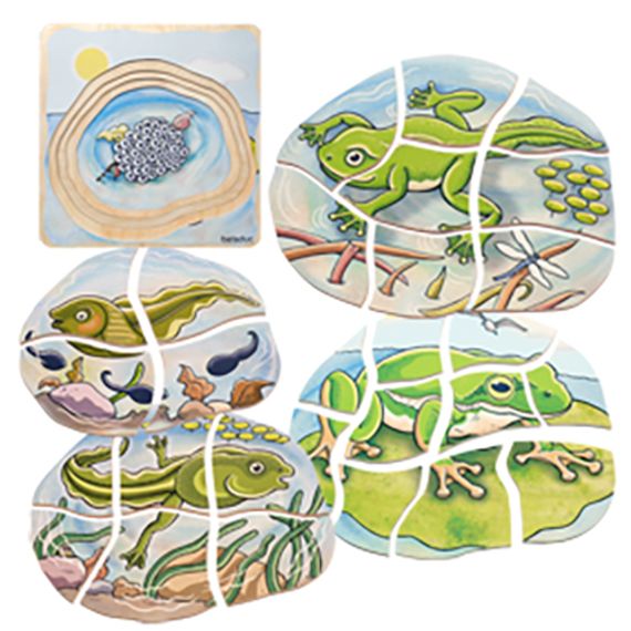 Lagenpuzzle Frosch