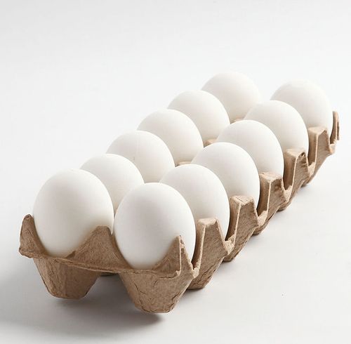 Kunststoff Eier