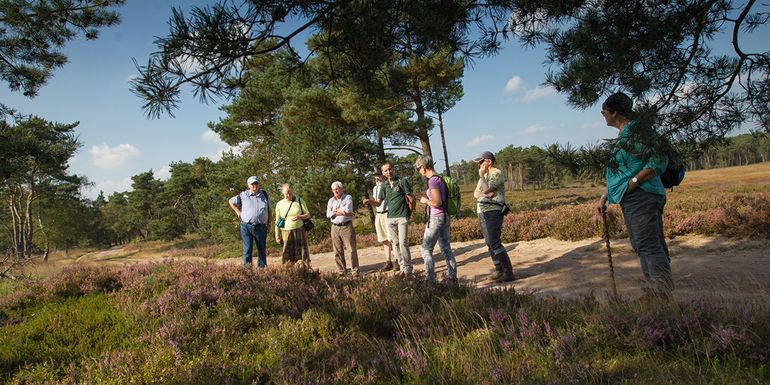 Op stap met de boswachter