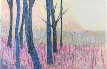 bomen in park Zypendaal getekend door kunstenaar Ankie Krom