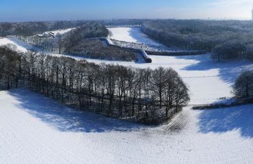 Wandelen met de boswachter, thema: Mariendaal Groene Bedstee in de sneeuw