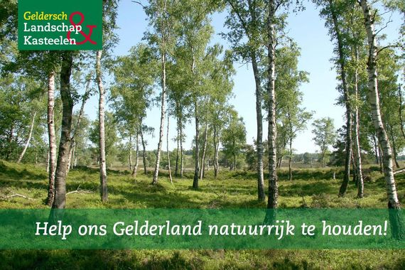 Loenermark Zilvense Heide banner