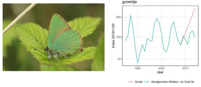 Aantal ontwikkelende parelmotten en rookiebossen voor het gebied 