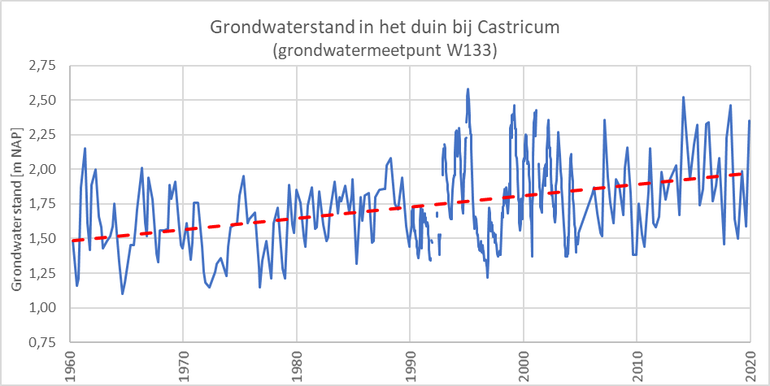 Figuur 9. Gemiddelde grondwaterstand (meters boven NAP) per jaar in het middenduin bij Castricum (PWN-beheergebied)