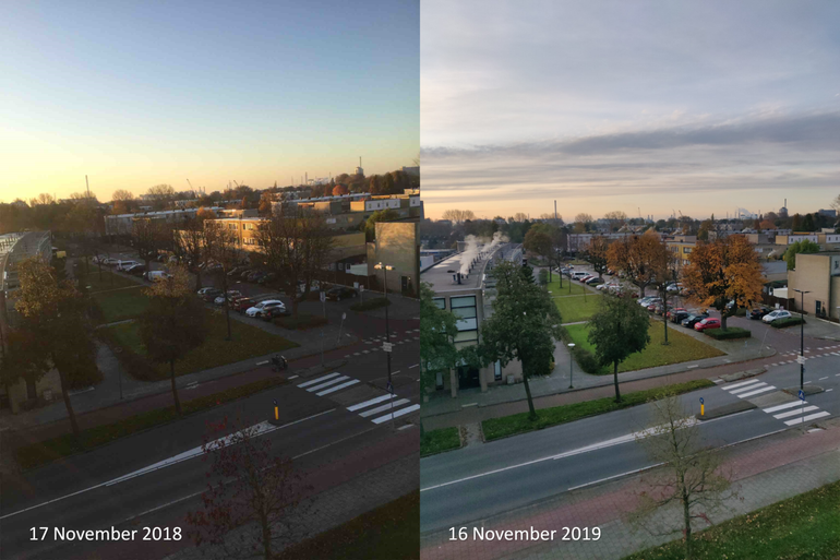 Diverse boomsoorten op 17 november 2018 en 16 november 2019 aan de Rotterdamseweg in Vlaardingen