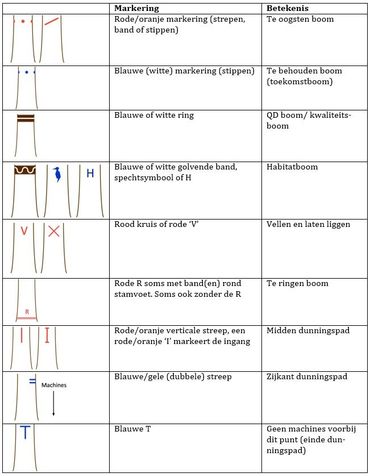 Een overzicht van verschillende blestekens (met betekenis) die men veel gebruikt