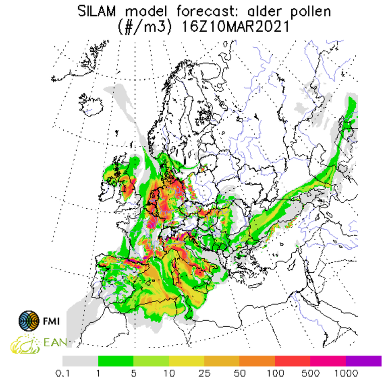 European forecast for alder pollen concentration on March 10, 2021 at 4 p.m. generated on March 8 with the SILAM model