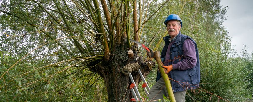 Verrassend Nature Today | Wilgen knotten: 'Als je niet meedoet, mis je iets' SB-62