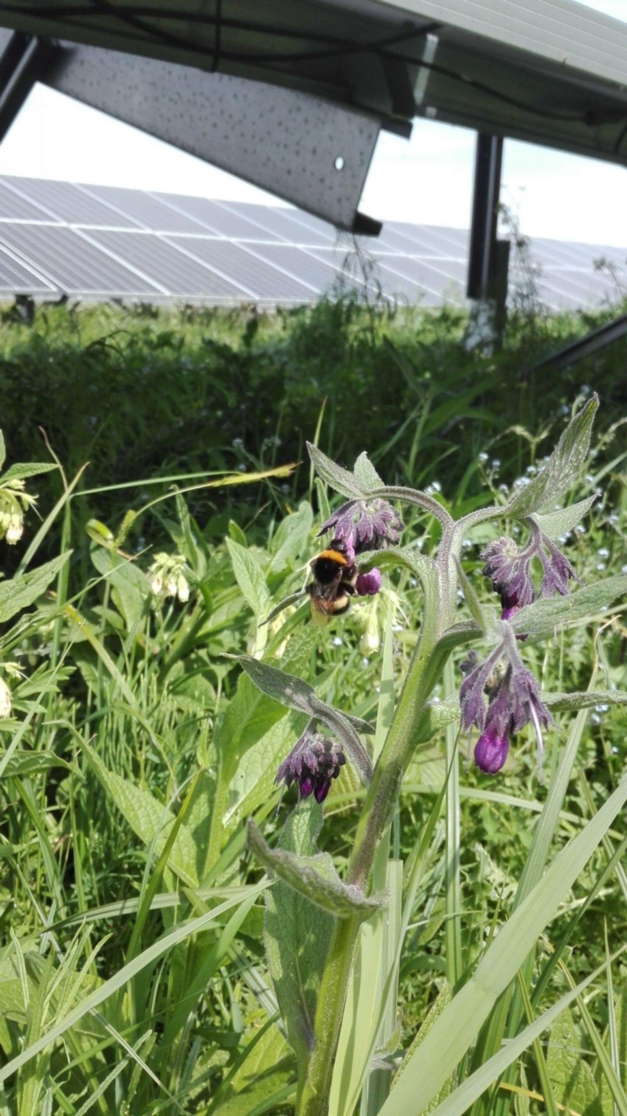 https://images.e-vision.nl/naturetoday/images/optimized/72bfcc85-2299-406b-8db5-239c5b392047.jpg&w=1280 https://images.e-vision.nl/naturetoday/images/optimized/72bfcc85-2299-406b-8db5-239c5b392047.jpg&w=1280