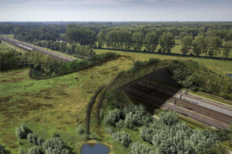 De nieuwe natuurbrug over het spoor tussen Eindhoven en Boxtel die op 7 februari 2020 wordt geopend, zorgt ervoor dat groot en klein wild veilig kan oversteken in Het Groene Woud