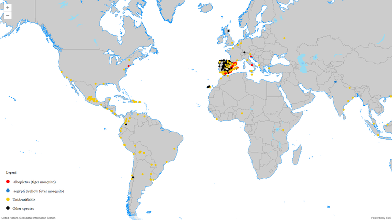 Kaart van muggenmeldingen op Environment Live