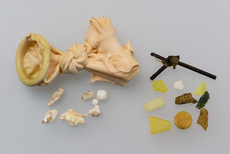 A fulmar's stomach contents, photo: Jan Andries van Franeker