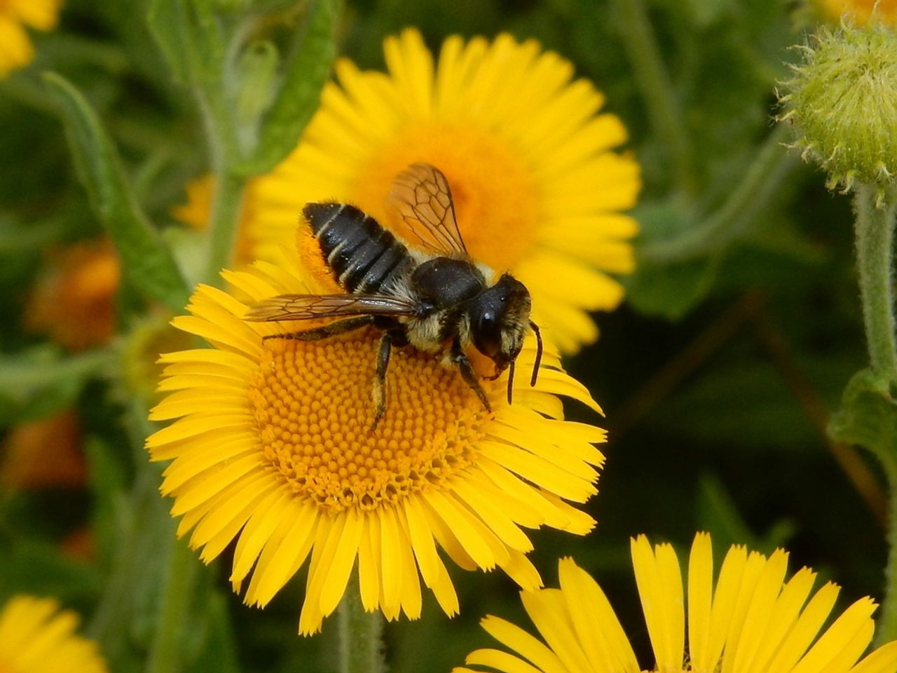 https://images.e-vision.nl/naturetoday/images/optimized/bedaf370-fe20-4fa8-87e5-564f95bb4521.jpg&w=1280 https://images.e-vision.nl/naturetoday/images/optimized/bedaf370-fe20-4fa8-87e5-564f95bb4521.jpg&w=1280