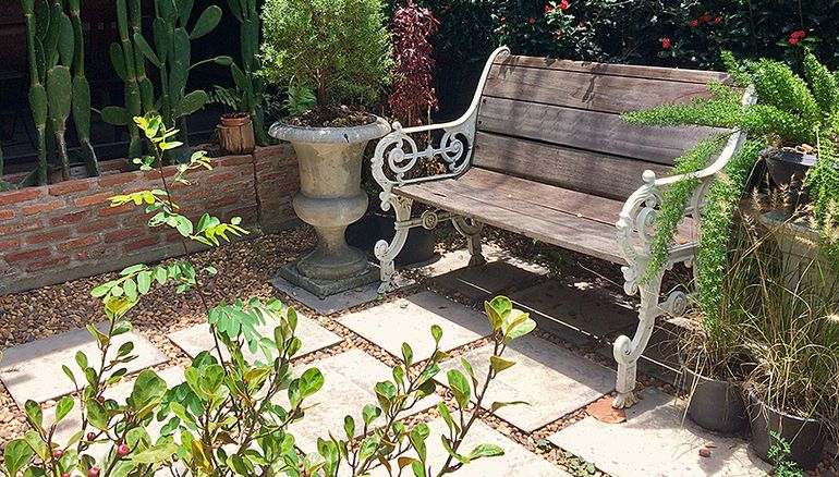 tuinbranche vogels in de tuin nature today voorkom wateroverlast 233 n help vogels tuinbranche vogels in de tuin nature today voorkom wateroverlast 233 n help vogels
