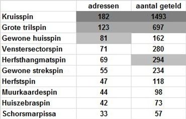 Top 10 van getelde spinnen, gerangschikt naar aantal adressen