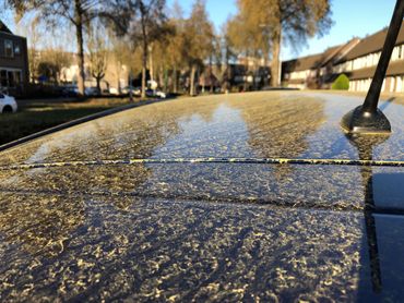 Huge amount of pollen on a car roof on Feb 27, 2021