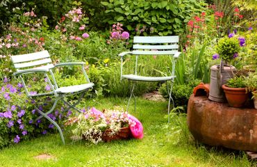 Tuin / Shutterstock
