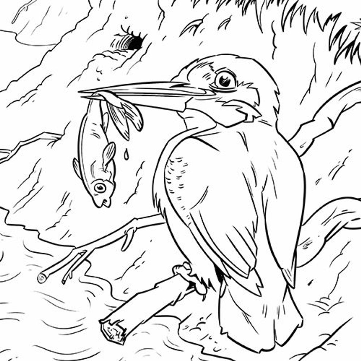 Kleurplaat Makkelijk Vogel Vogel Met Monster Kleurplaten Porn Sex Picture