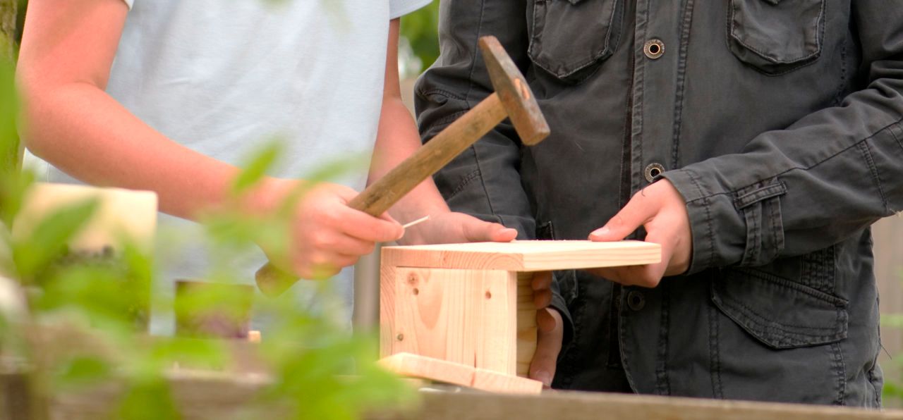 Zelf een nestkast maken Vogelbescherming