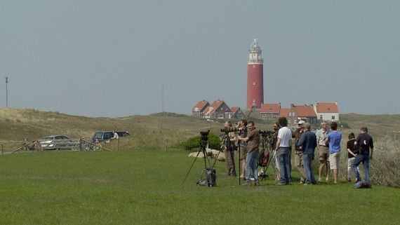 Vogelaars Texel / Marc Plomp
