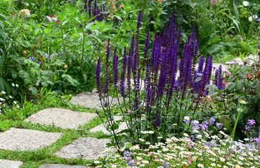 Tuin tegels / Shutterstock