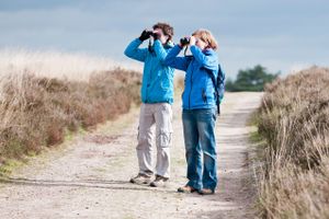 Samen voor vogels en natuur | Vogelbescherming