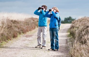 Excursie / Janko van Beek