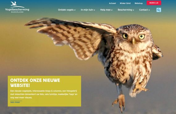 screenshot homepage vogelbescherming