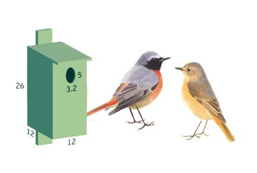 Verwonderlijk Zelf een nestkast maken | Vogelbescherming QK-71
