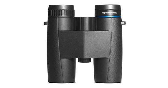 Stern 8 x 32