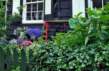 Tuin-sfeer / Hans Peeters