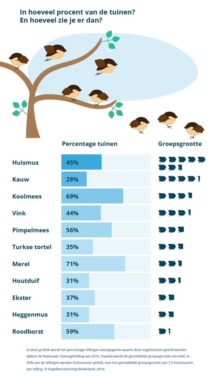 In hoeveel procent van de tuinen worden deze vogels gezien? En hoeveel vogels zie je dan (groepsgrootte)??