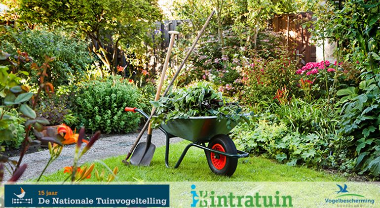 Tuin / Shutterstock