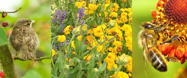 Tuinreservaat / Shutterstock & Hans Peeters