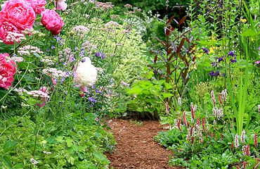 Tuin / Shutterstock