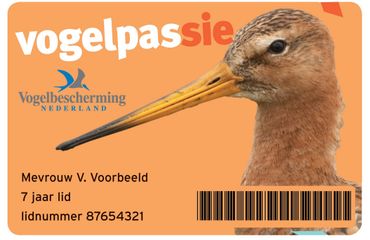 Vogelpassie
