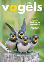 Cover Vogels 02/2020