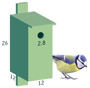 afmetingen nestkast pimpelmees