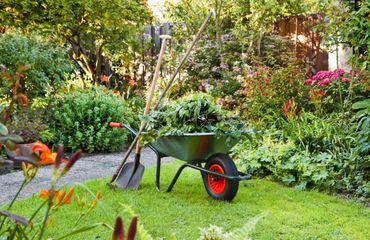 Tuin onderhoud / Shutterstock