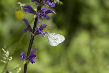 Wat zijn de 7 leefgebieden